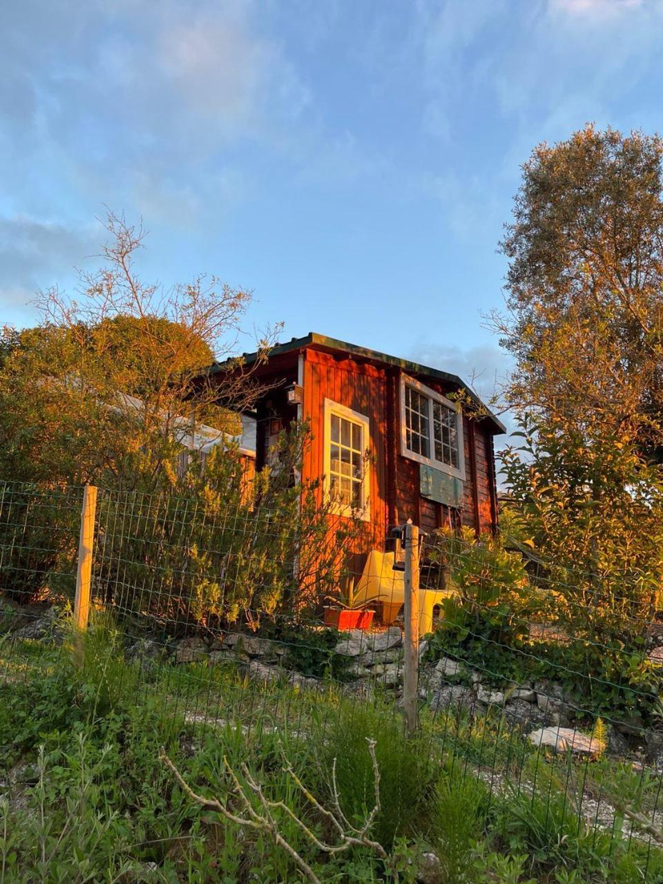Quinta Laranja - Turismo Rural - Alvorninha Exterior photo