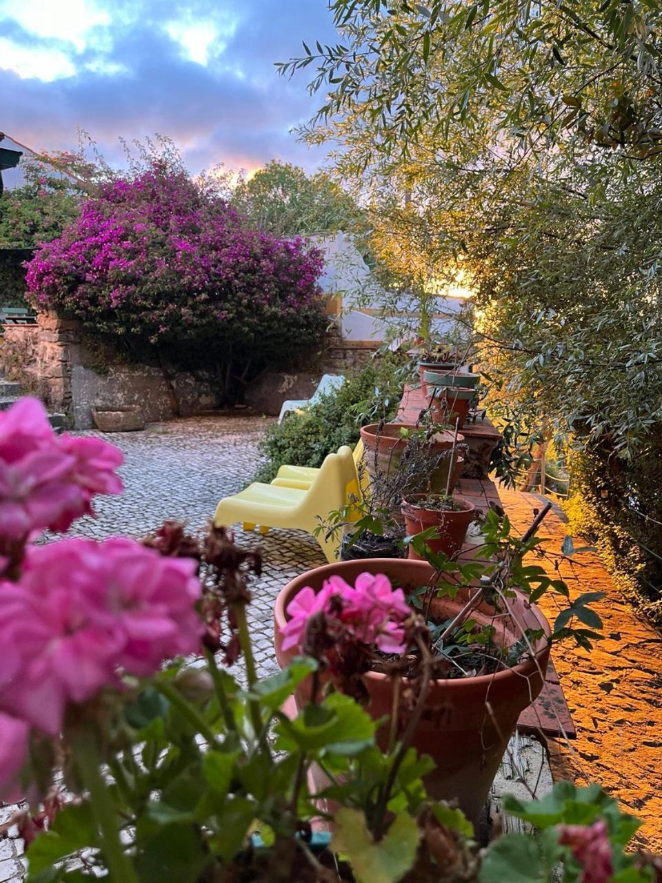 Quinta Laranja - Turismo Rural - Alvorninha Exterior photo